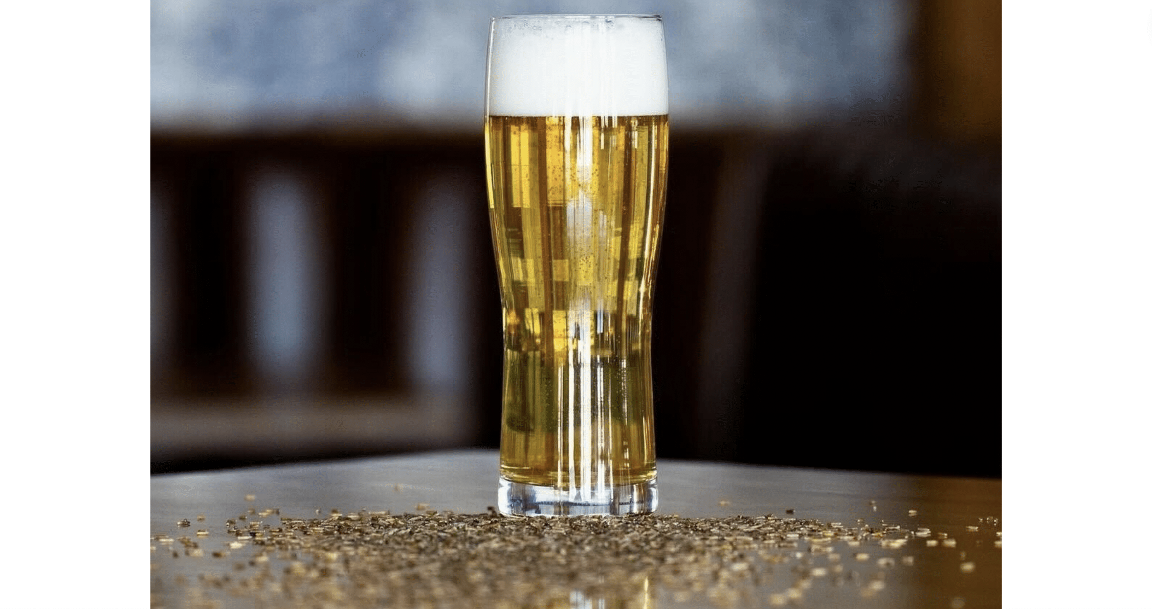 Patagonia Provisions Partners with 11 Breweries on New Kernza® Lagers