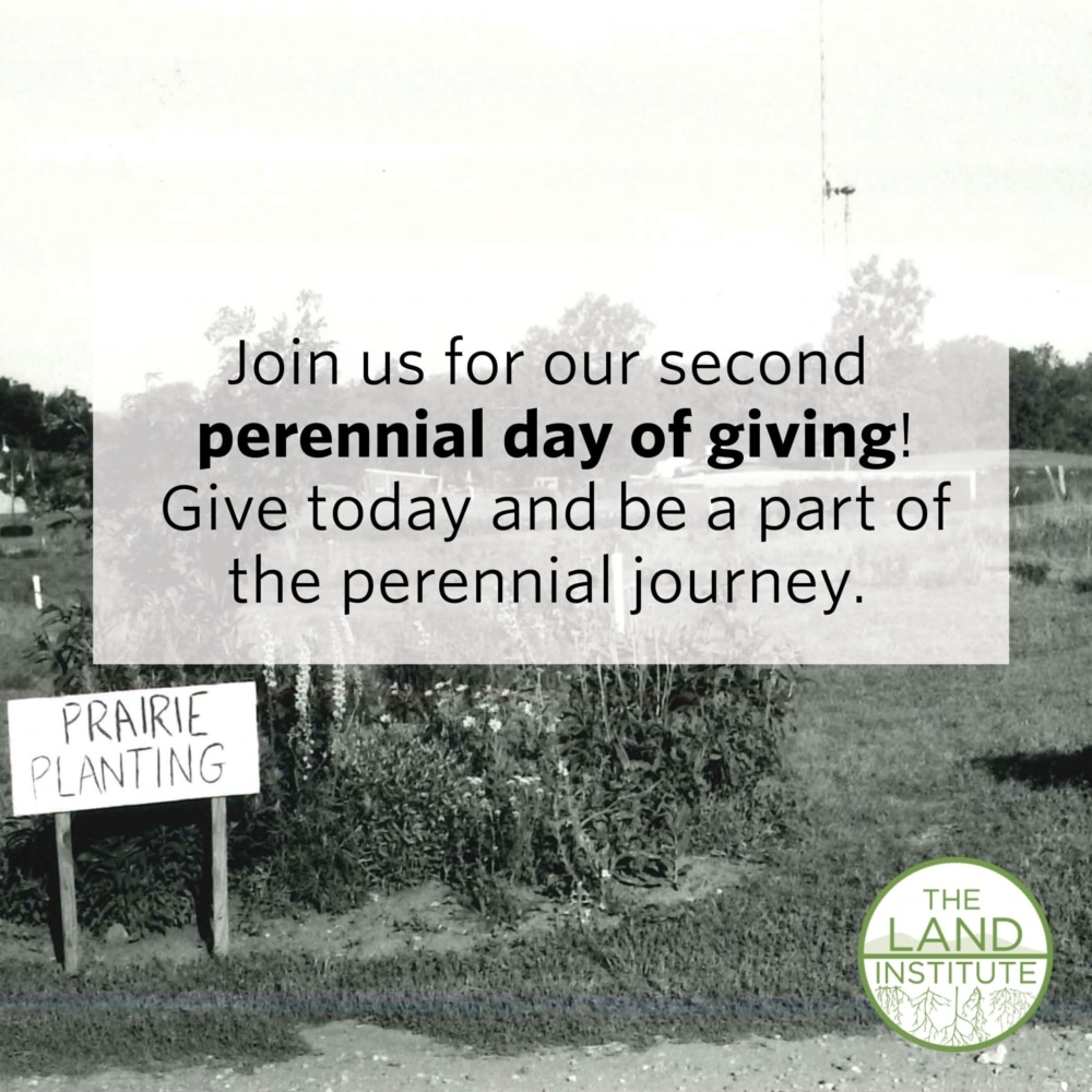 Join Us for Our Second Perennial Day of Giving