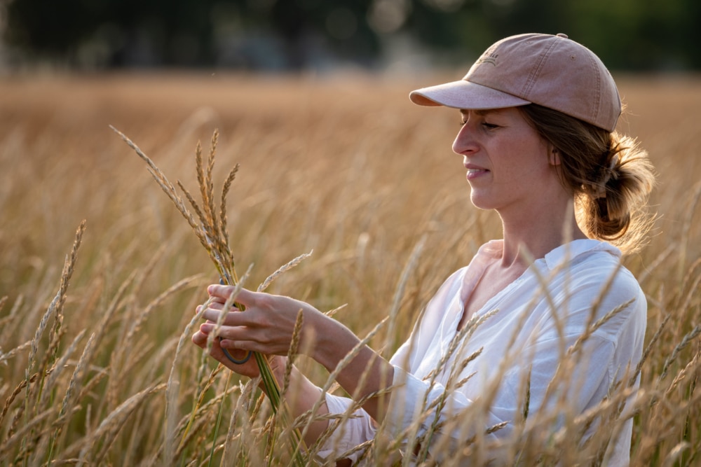 Interview with Anna Andersson, Research Technician, Civic Science