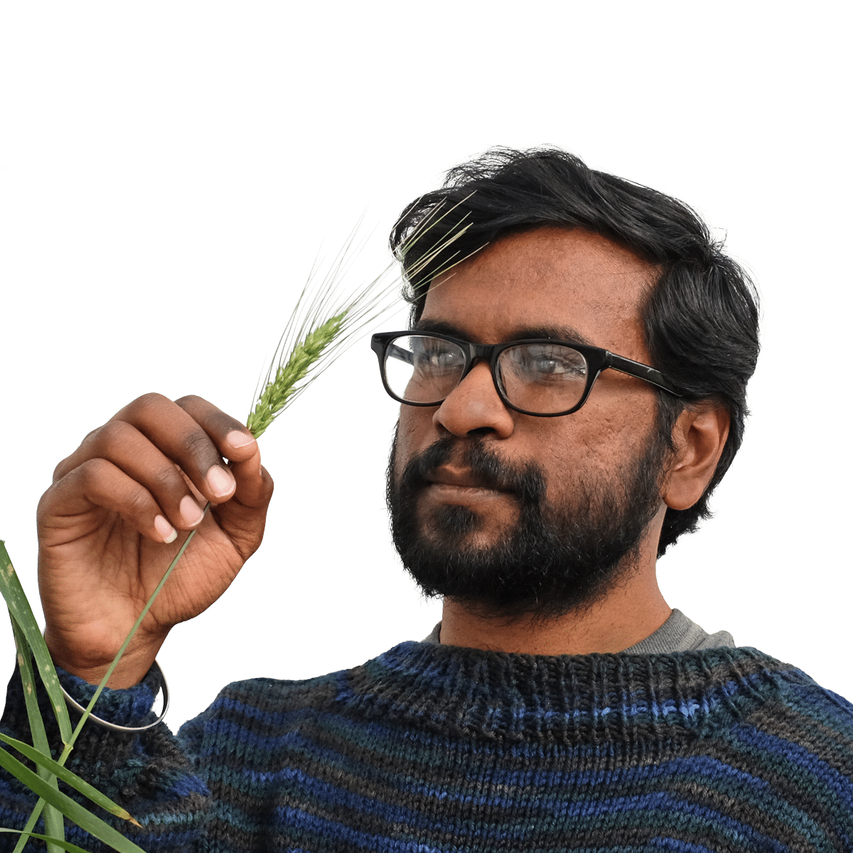 Piyush  Labhsetwar