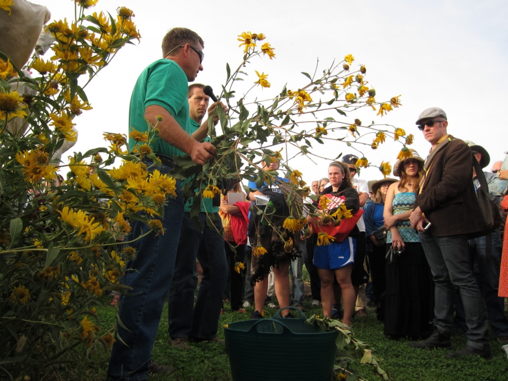 Plot Tour PF 2012