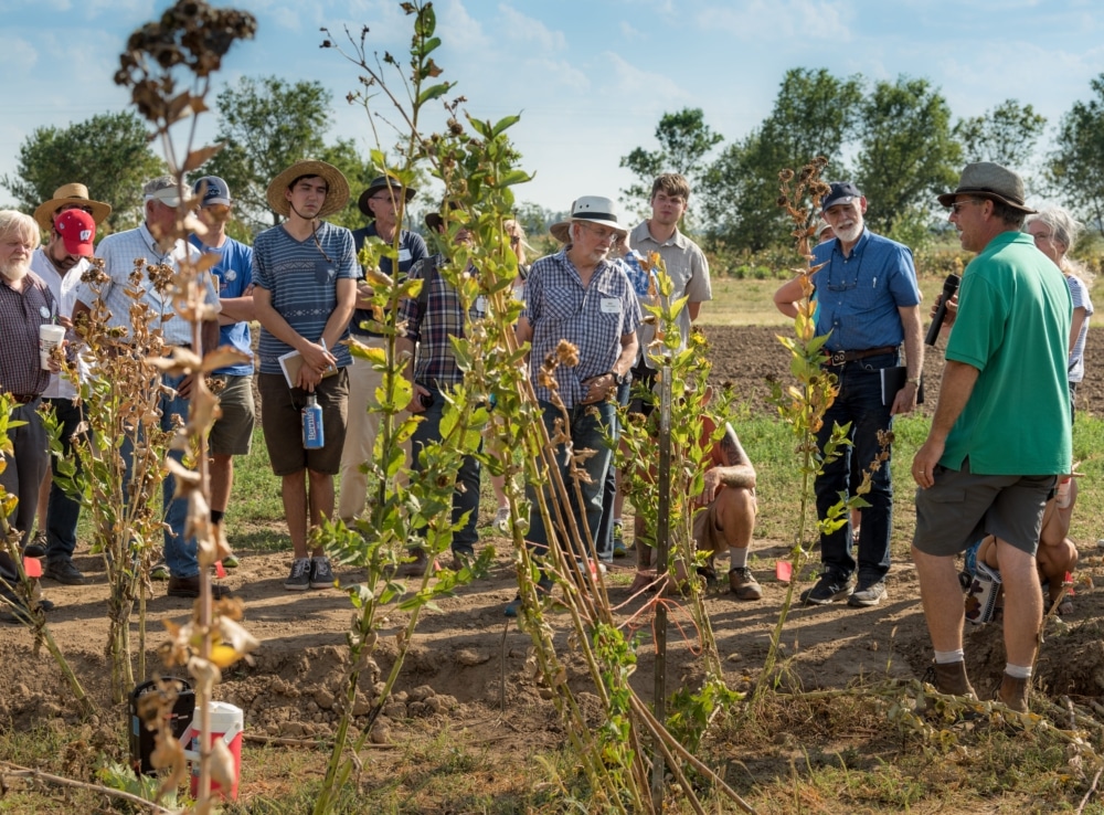 View Livestream: Prairie Festival, September 27-29, 2019