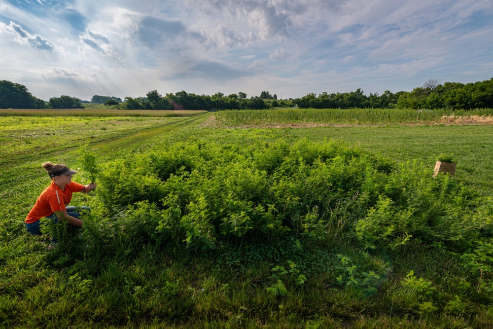 2023 USA Agroecology Summit