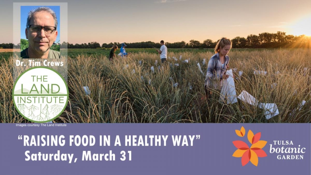 Raising Food in a Healthy Way