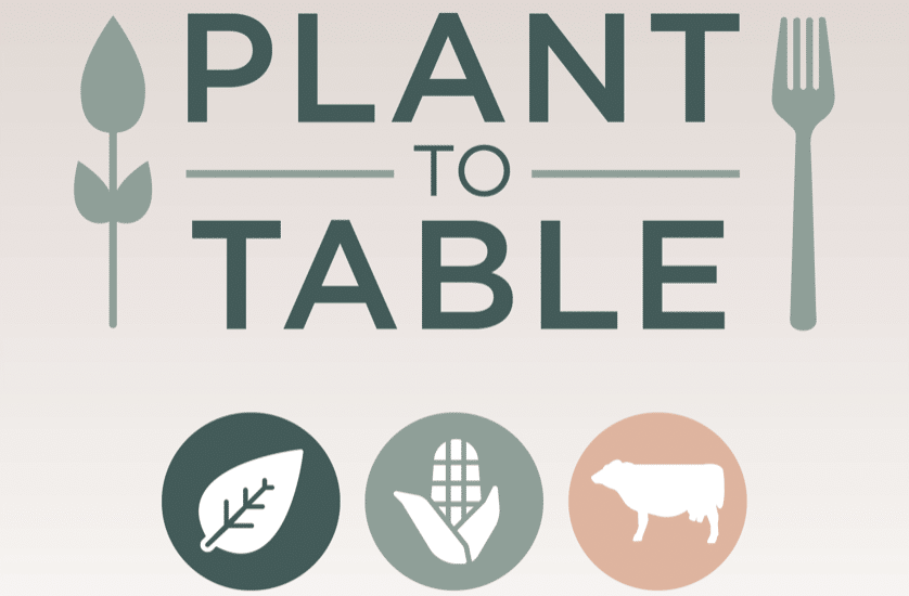 Learning the Roots of the Plants We Live By: Perennial Cultures & Perennial Grains in the Great Plains