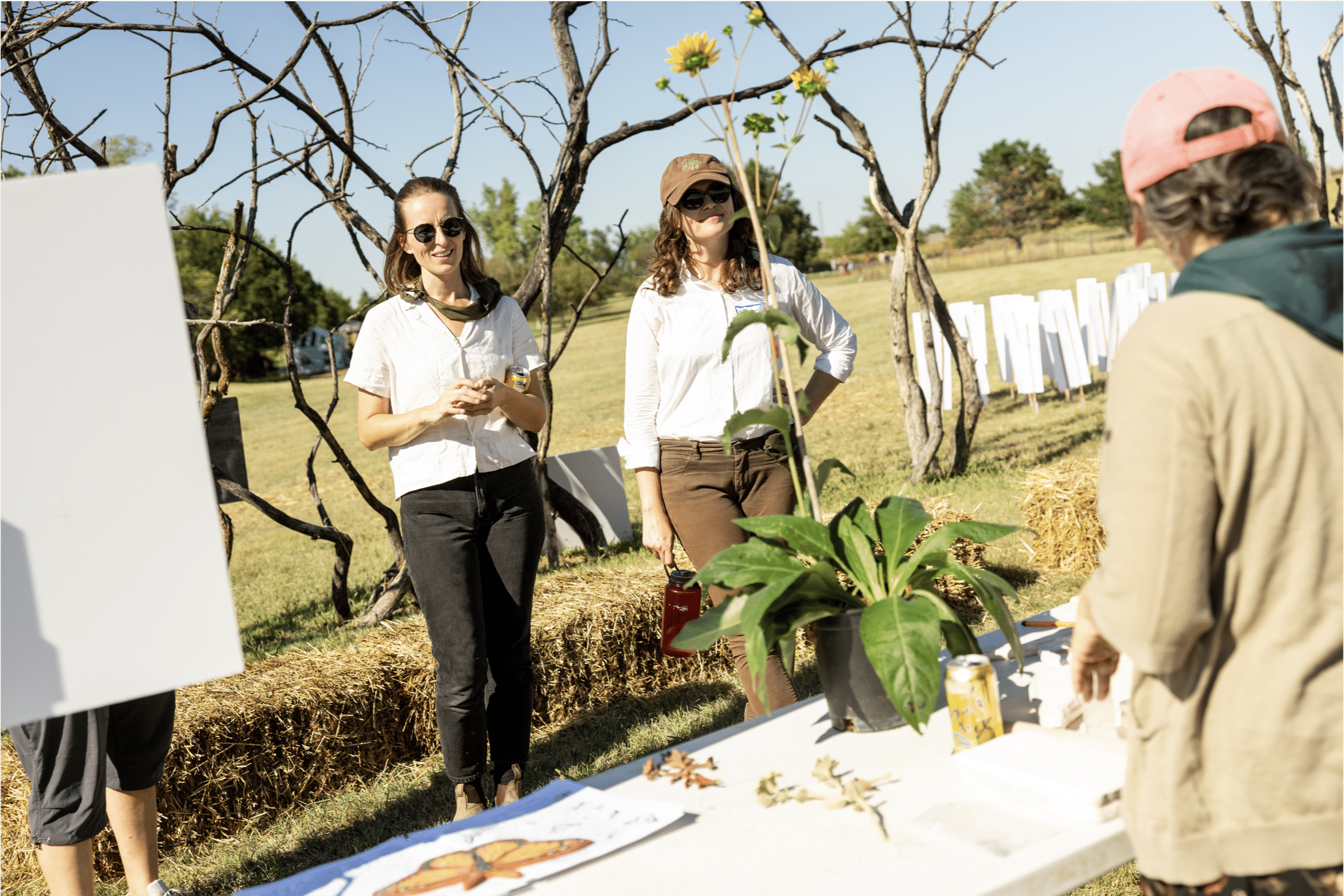Sensing Scale in Experimental Gardens: Un-Lawning With Silphium Civic Science