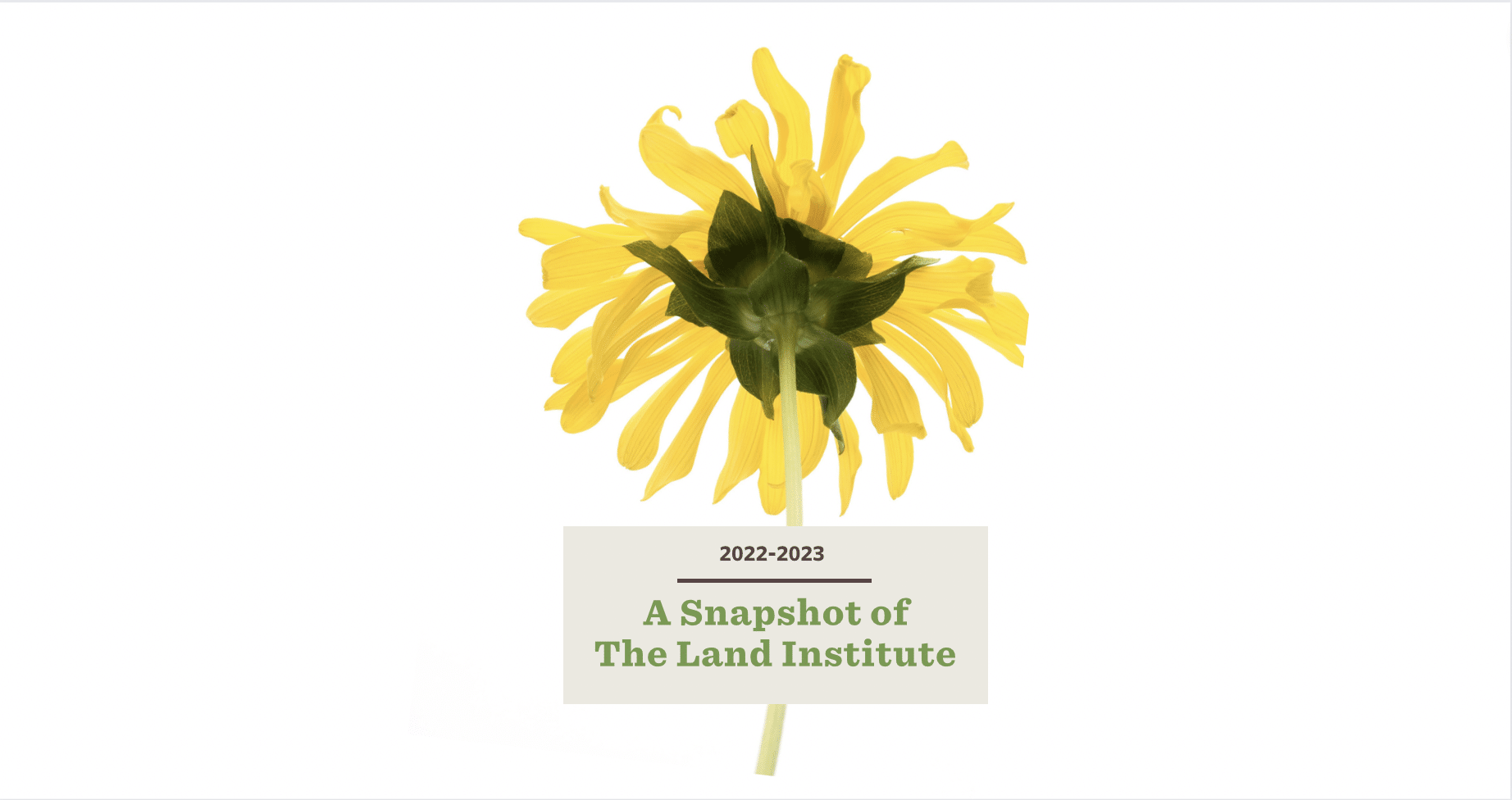 A Snapshot of The Land Institute: 2022-2023