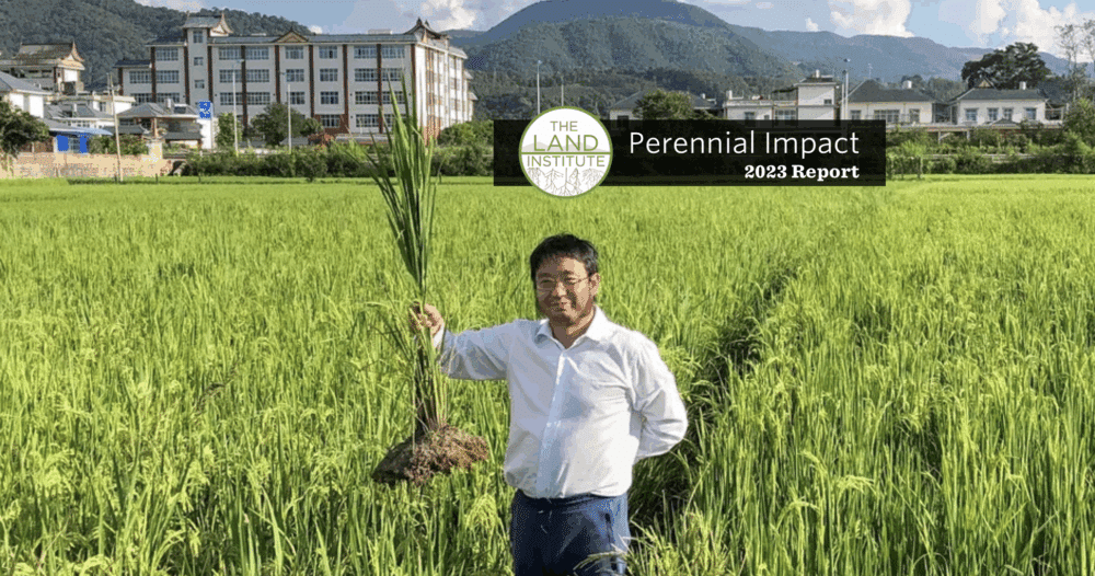 2023 Perennial Impact Report