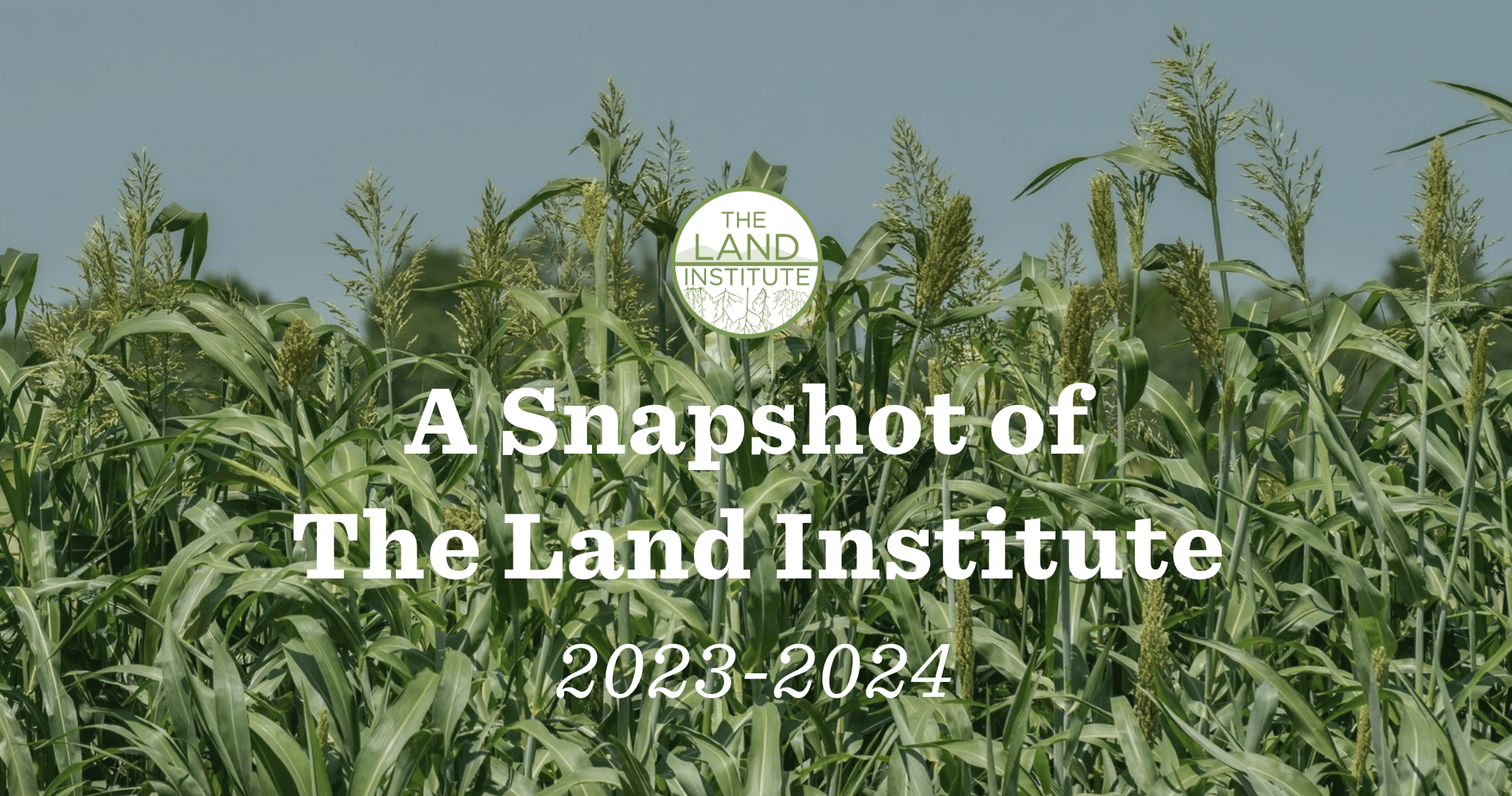 A Snapshot of The Land Institute: 2023-2024