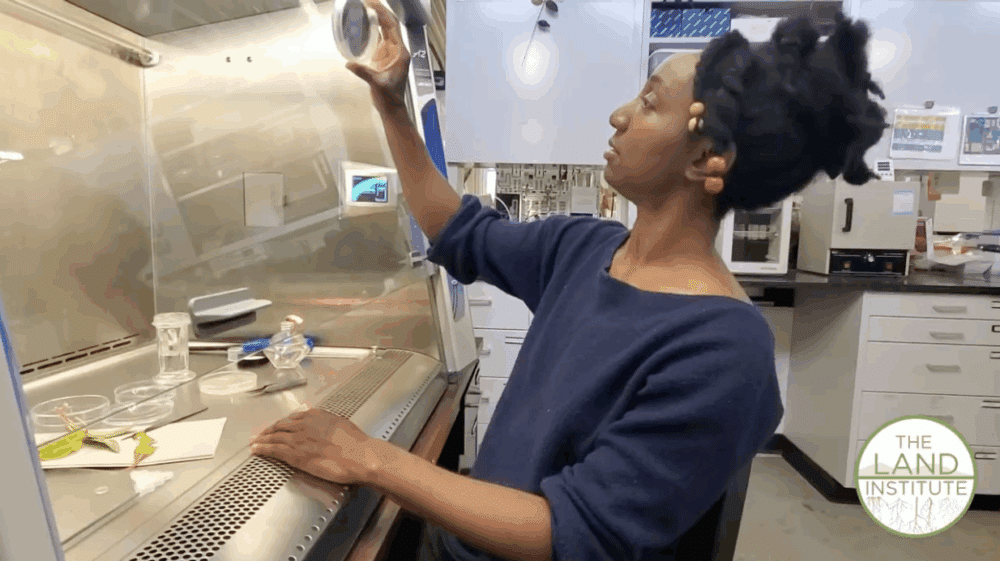 uafR: An R package that automates mass spectrometry data processing