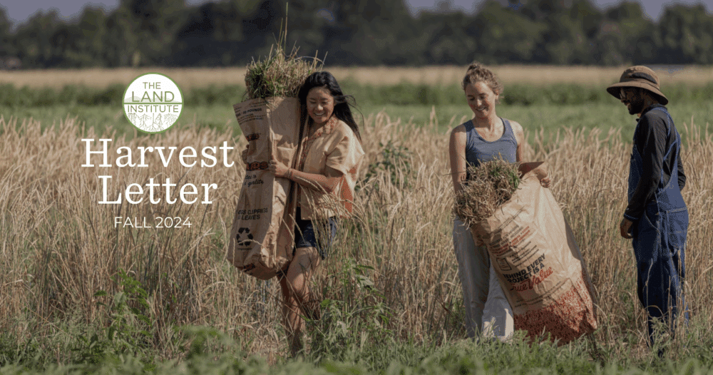Harvest Letter 2024