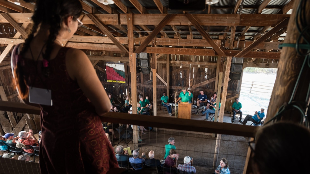 No Prairie Festival in 2020 amidst the COVID-19 pandemic 