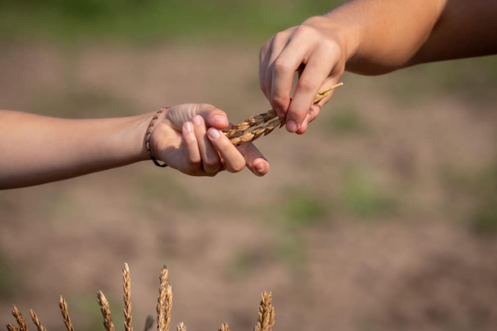 The Land Institute: Finalist for Food Planet Prize!