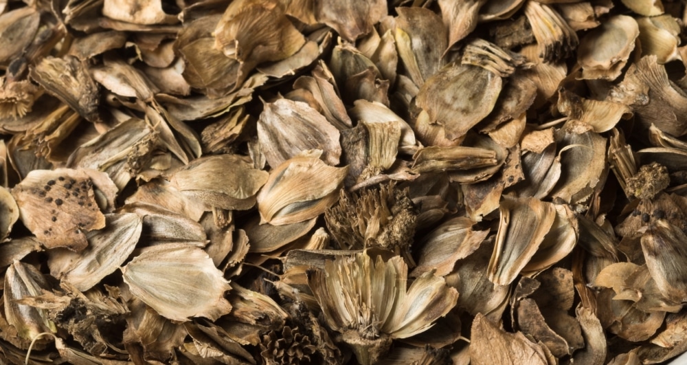 Silflower Seed and Biomass Responses to Plant Density and Nitrogen Fertilization