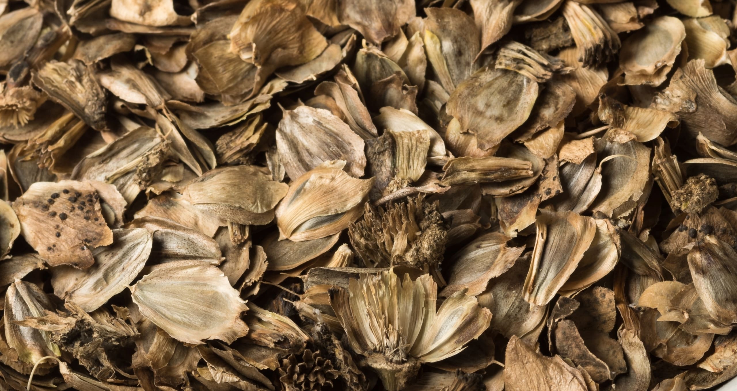 Silflower Seed and Biomass Responses to Plant Density and Nitrogen  Fertilization - The Land Institute