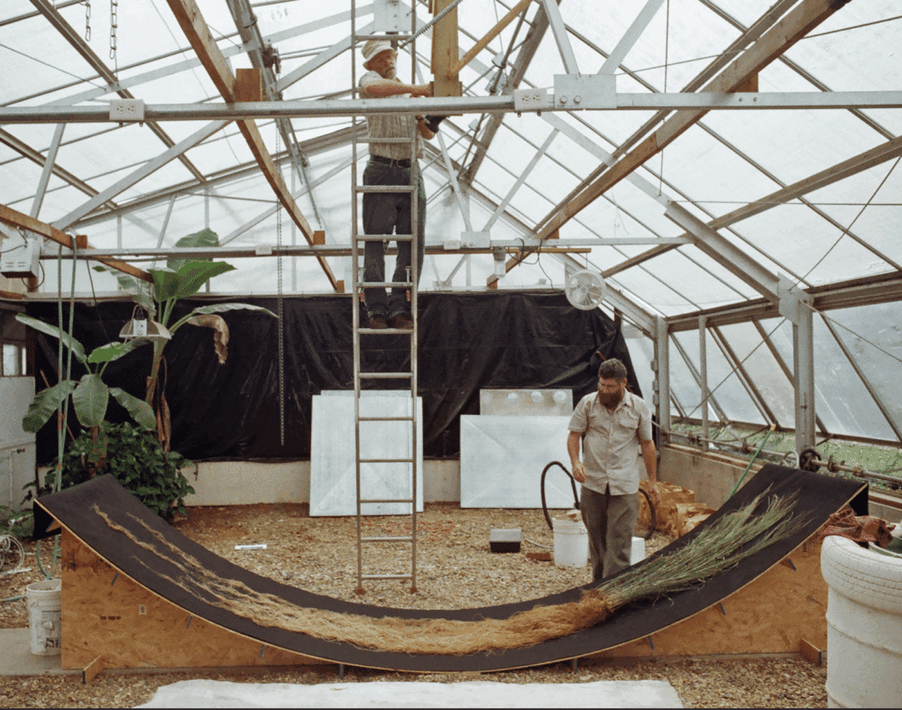 The Necessary Marriage Between Ecology and Agriculture