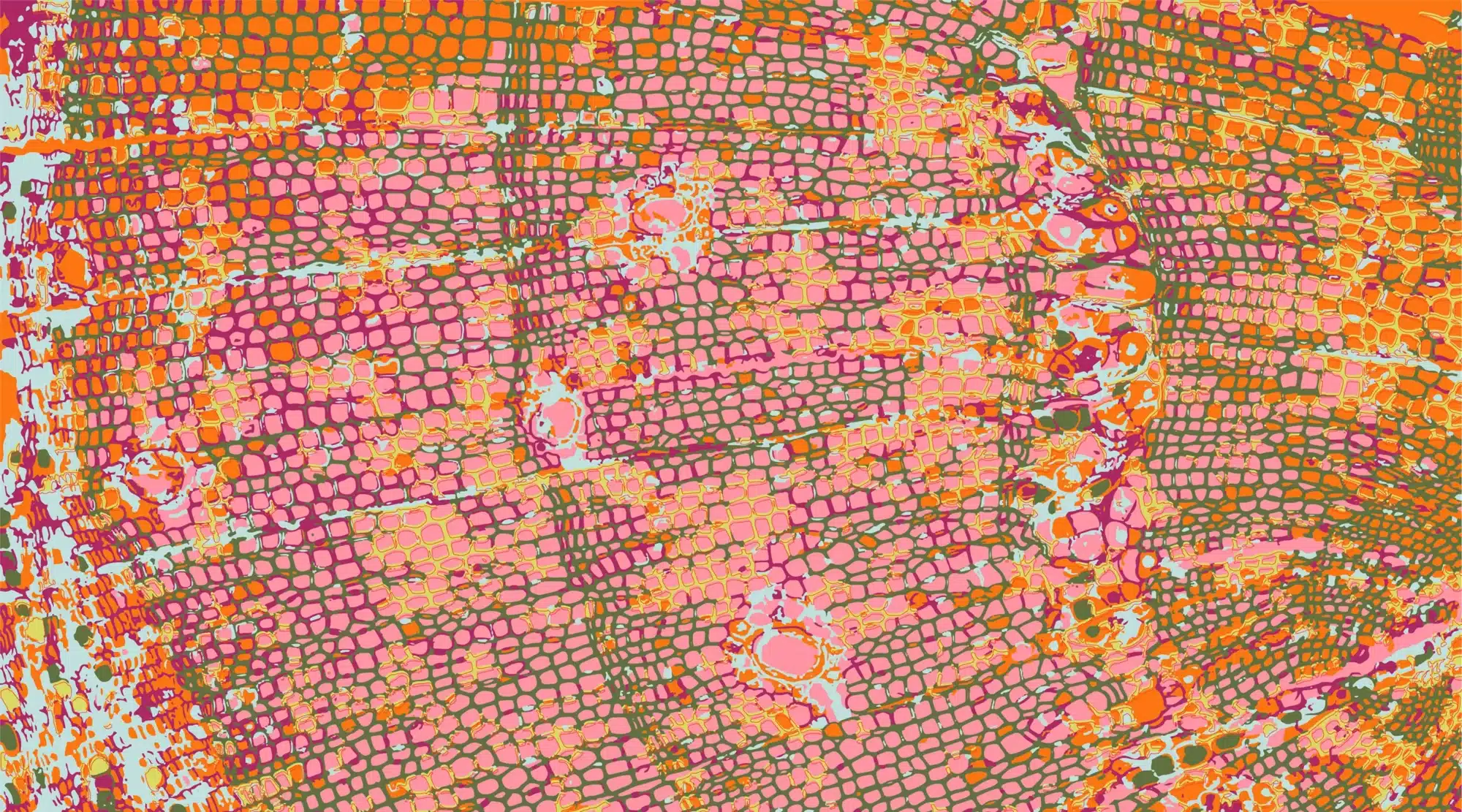 TLIPattern-Plurality-Pink