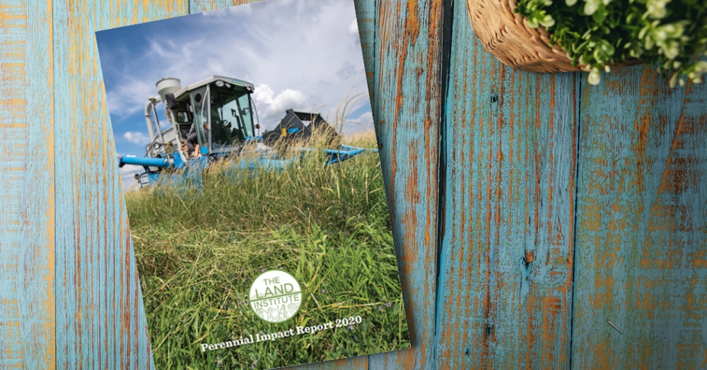 Perennial Impact Report