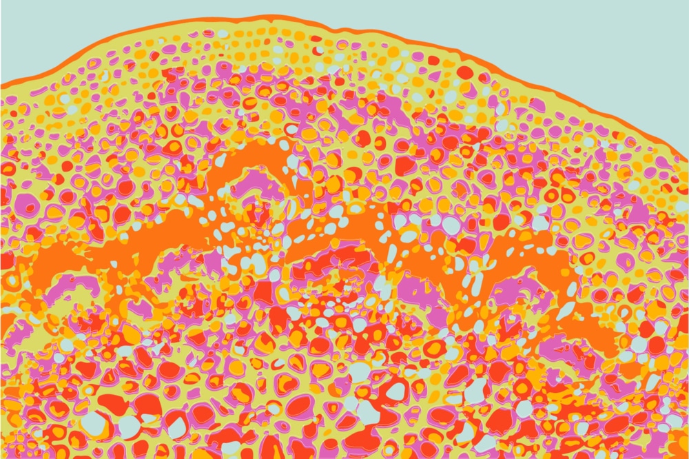 TLI_Pattern_01-Dandelion-Lilac