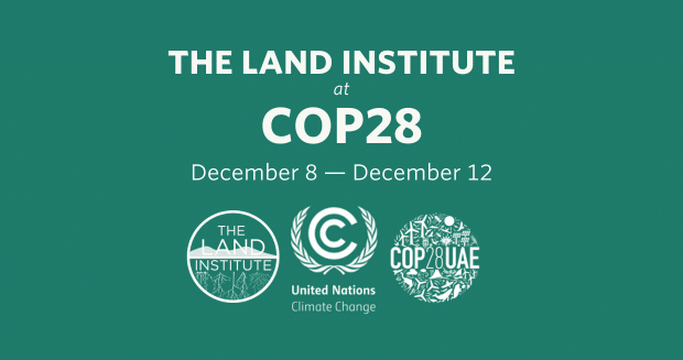 The Land Institute Attends COP28