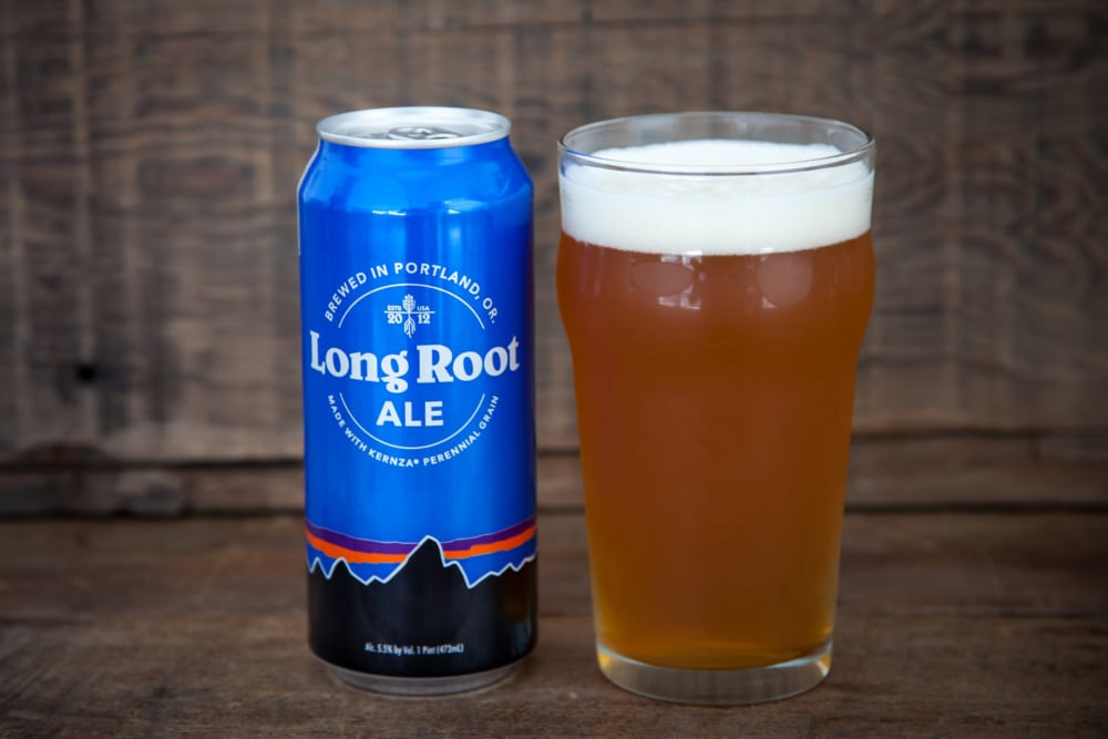 Long Root Ale brewed from Kernza grains