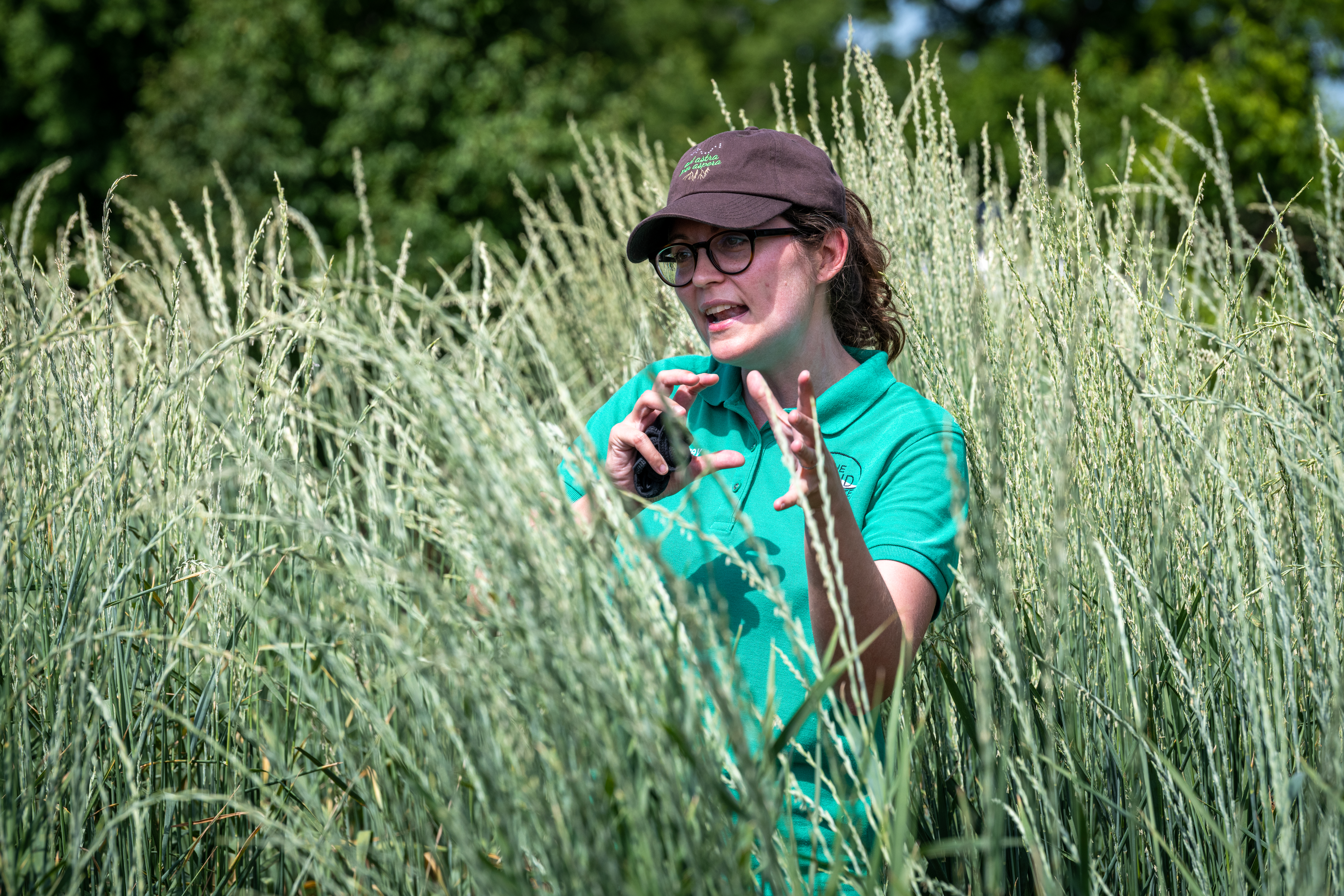 Aubrey Streit Krug, director of ecospheric studies, tells a tour group about Kernza