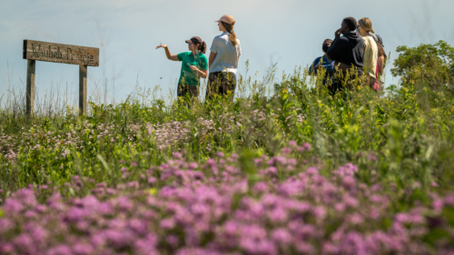 Tour - Wauhob Prairie, Streit Krug and Andersson