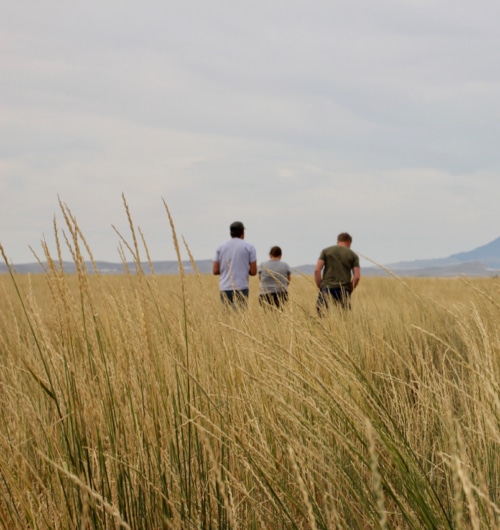 Crop stewardship team visiting Kernza growers, Erik Englant’s. farm called Square Butte in Geraldine, MT.
