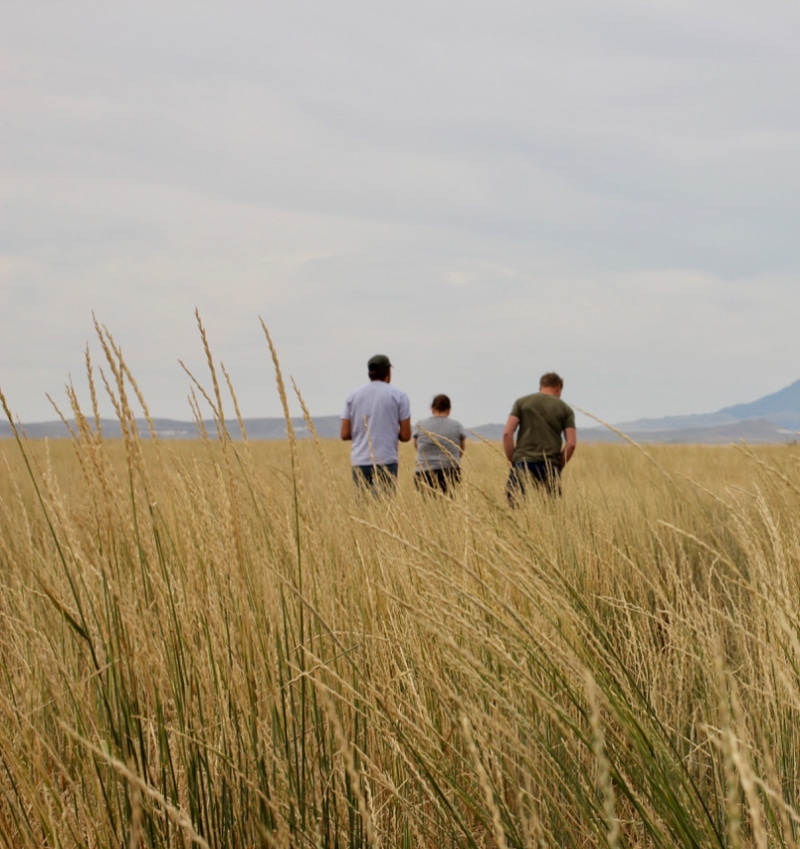 Crop stewardship team visiting Kernza growers, Erik Englant’s. farm called Square Butte in Geraldine, MT.