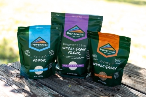 3 packs of Kernza flour from Perennial Pantry