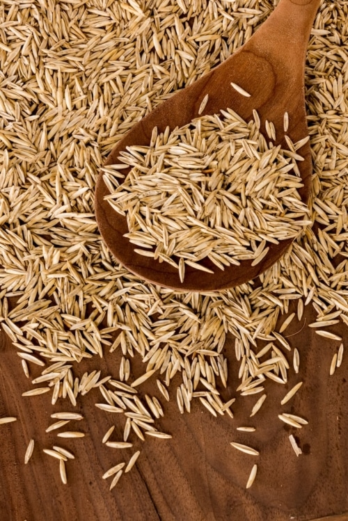 Kernza grains on the table
