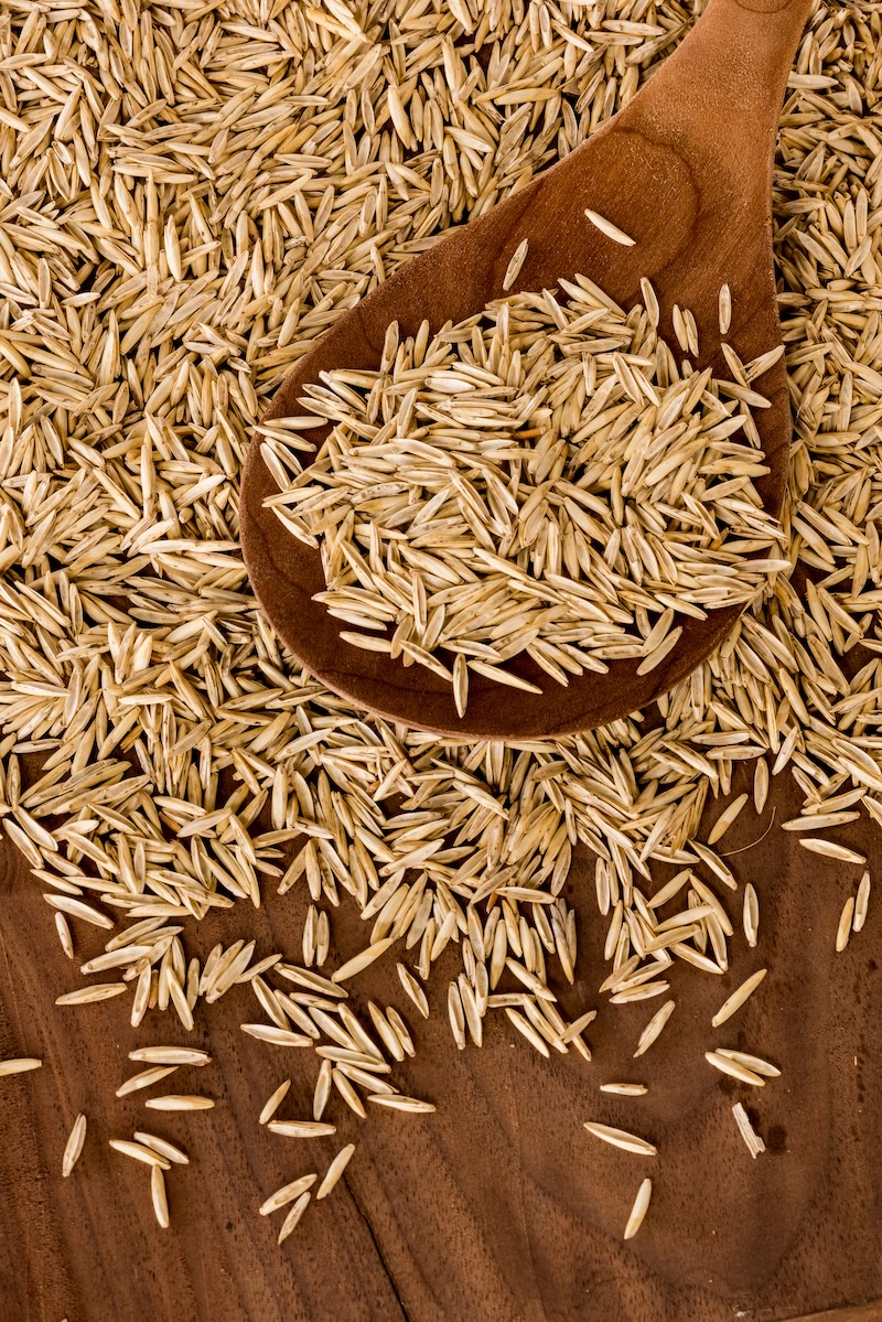 Kernza grains on the table