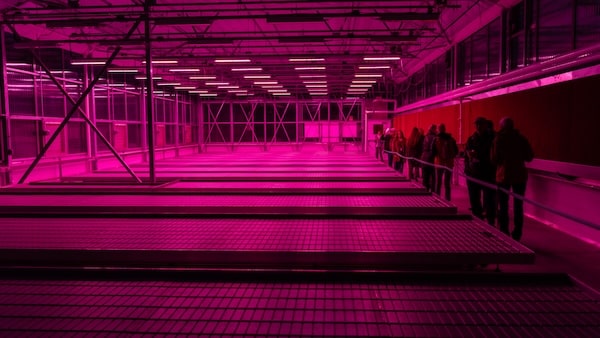 greenhouse-tour-2018