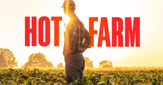 Podcast: Hot Farm