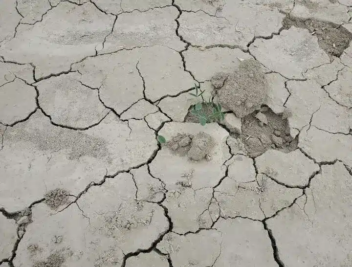 An Aridamerican model for agriculture in a hotter, water scarce world
