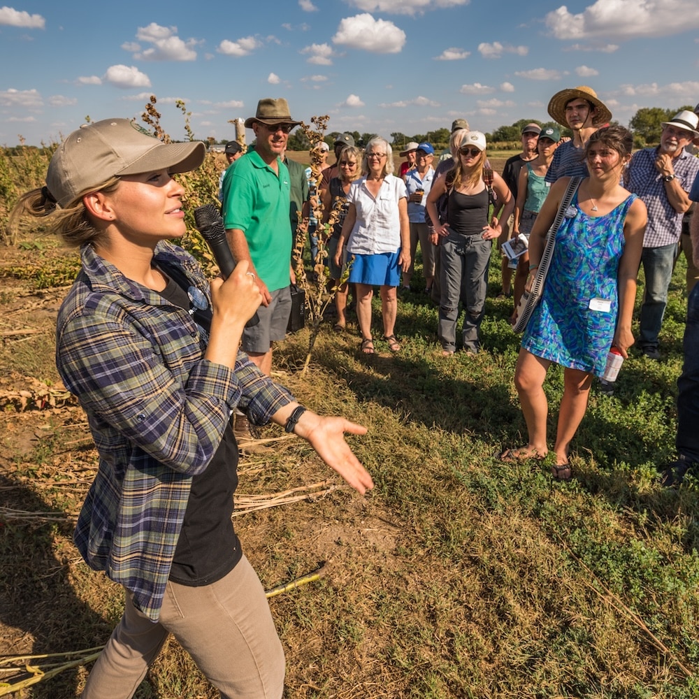 Land Institute intern Kelsey Peterson talks about perennial silphium research during a Prairie Festival field tour.