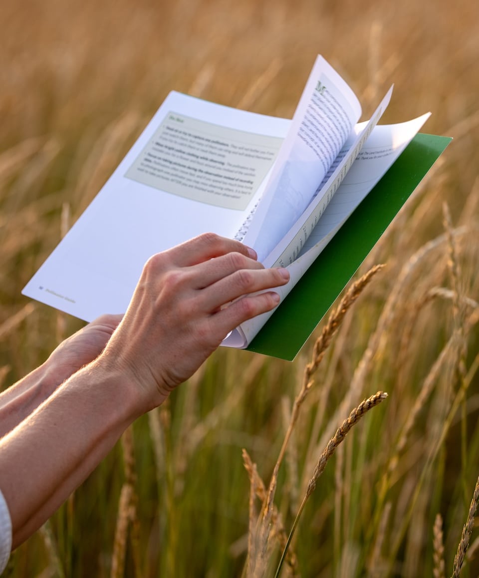 The Land Institute publishes "field guides" to help citizen collaborators understand the institute's crop breeding work