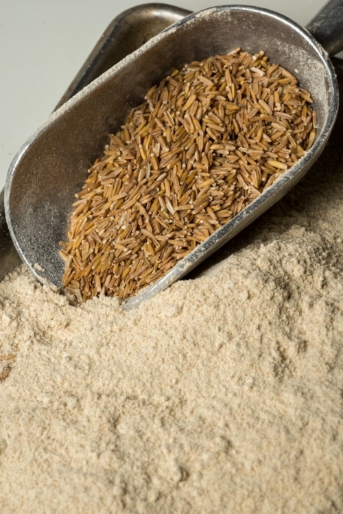 Kerna seeds and milled Kernza flour from The Land Institute.