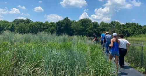 New Roots for Restoration Biology Integration Institute