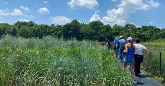 New Roots for Restoration Biology Integration Institute