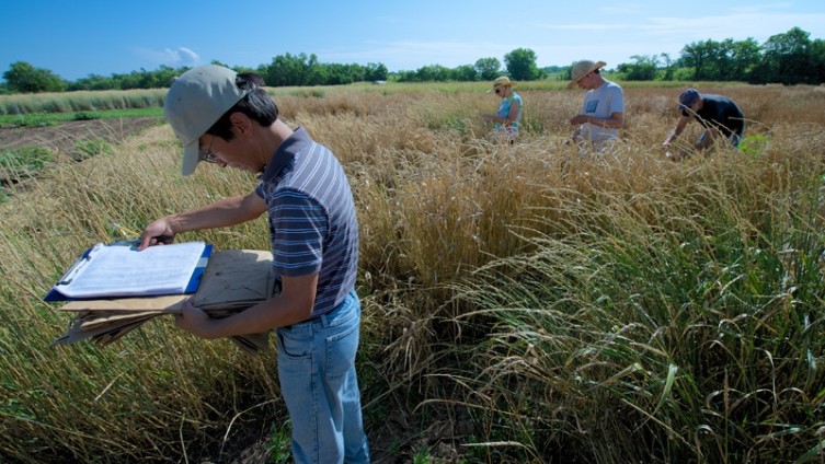 Law Professor Outlines Steps for Global, Sustainable Agriculture
