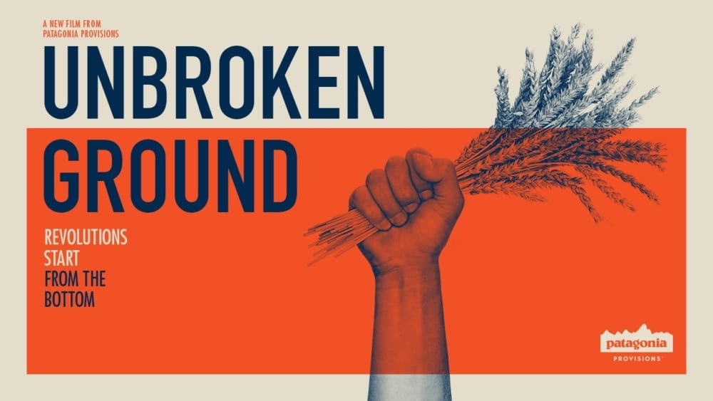 Kernza® Featured in Unbroken Ground Film from Patagonia Provisions