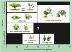 wildplants3